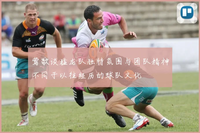 莺歌谈猛龙队独特氛围与团队精神不同于以往经历的球队文化
